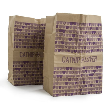 SmartyKat Catnip Caves Paper Bag Cat Toys, Scratch Activated Catnip Scent, 2 count