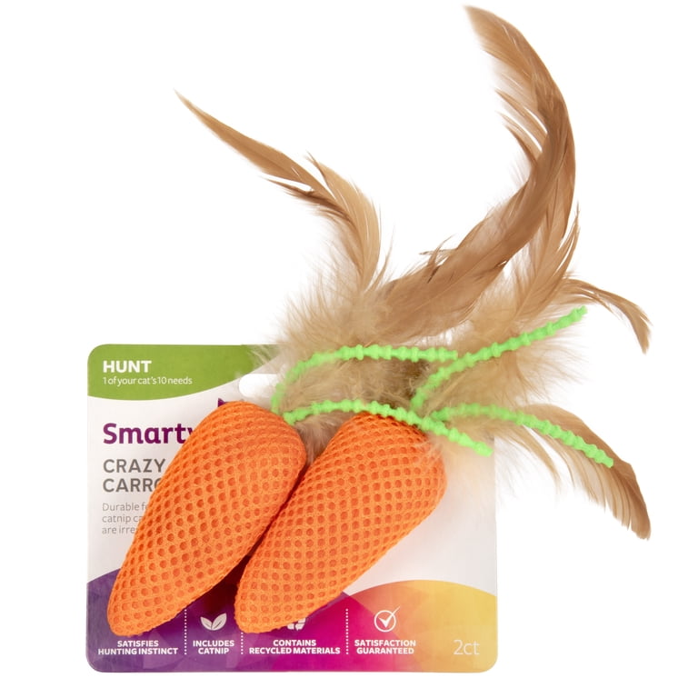 SmartyKat Crazy Carrots Flexible Bat and Chase Toy - Walmart.com