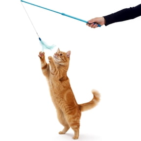 SmartyKat Frisky Flyer, Interactive Cat Toy, Extendable and Retractable Wand with Feathers