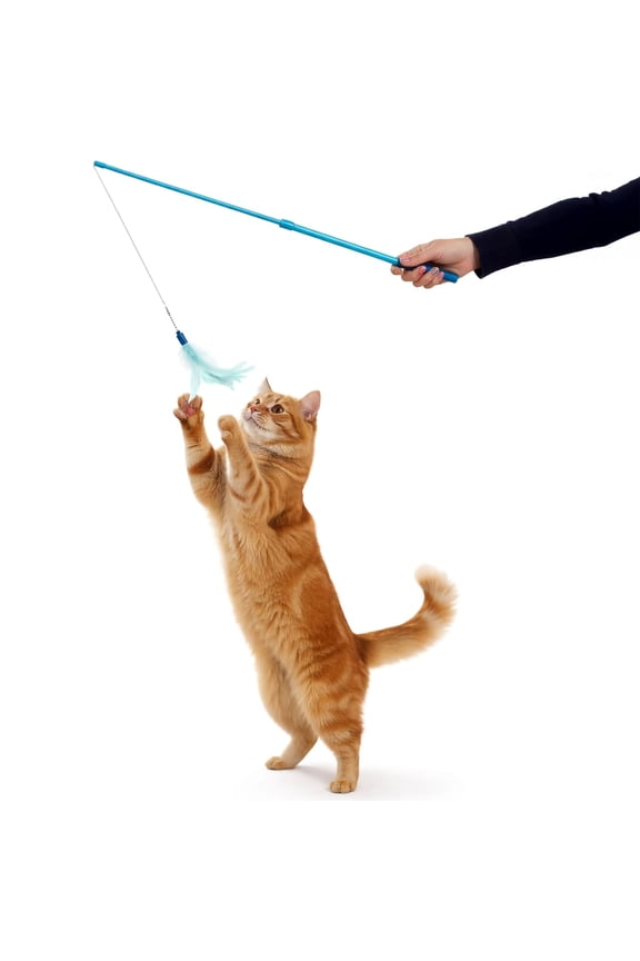 Frisky Flyer, Interactive Cat Toy, Extendable and Retractable Wand with Feathers