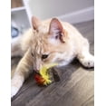 thumbnail image 1 of SmartyKat® Star Strung™ Compressed Catnip, 1 of 5
