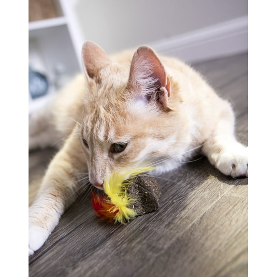 SmartyKat® Star Strung™ Compressed Catnip