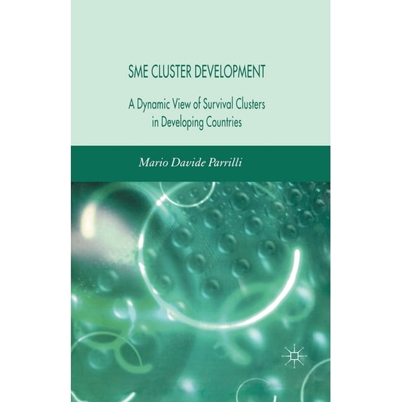 Sme Cluster Development: A Dynamic View of Survival Clusters in Developing Countries, (Paperback)