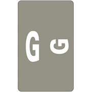 Smead AlphaZ ACCS Color-Coded Alphabetic Label, G, Gray, 100 Labels per Pack (67177)