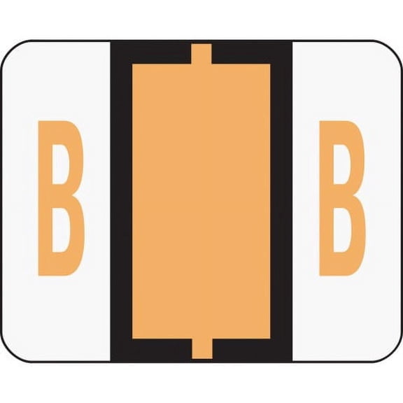 Smead BCCR Bar-Style Color-Coded Labels "Alphabet" - Light Orange