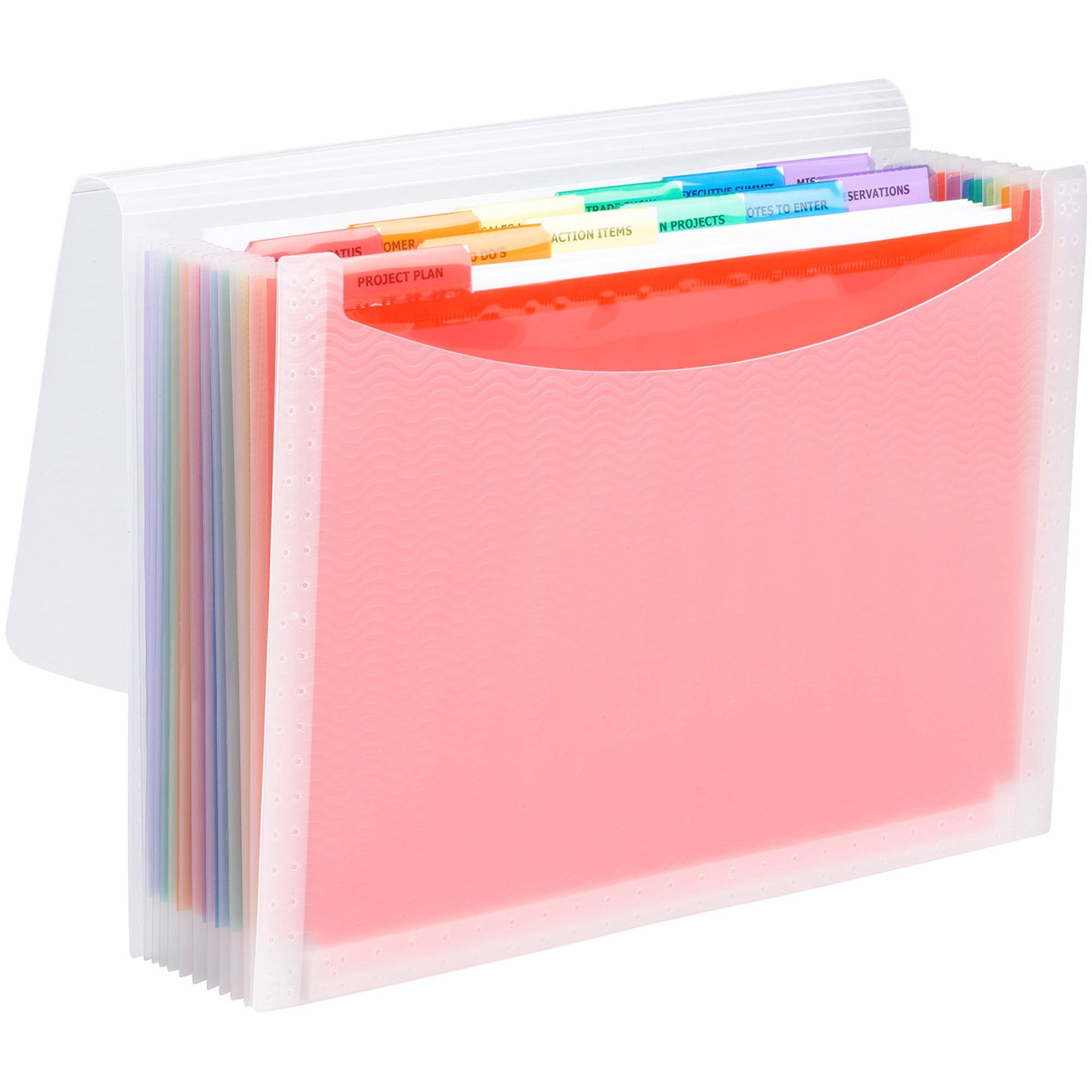 Smead Colorvue Letter Expanding File - 8 1/2" X 11" - 13 Pocket(s) - 12 Divider(s) - Polypropylene - Clear - 12 / Carton