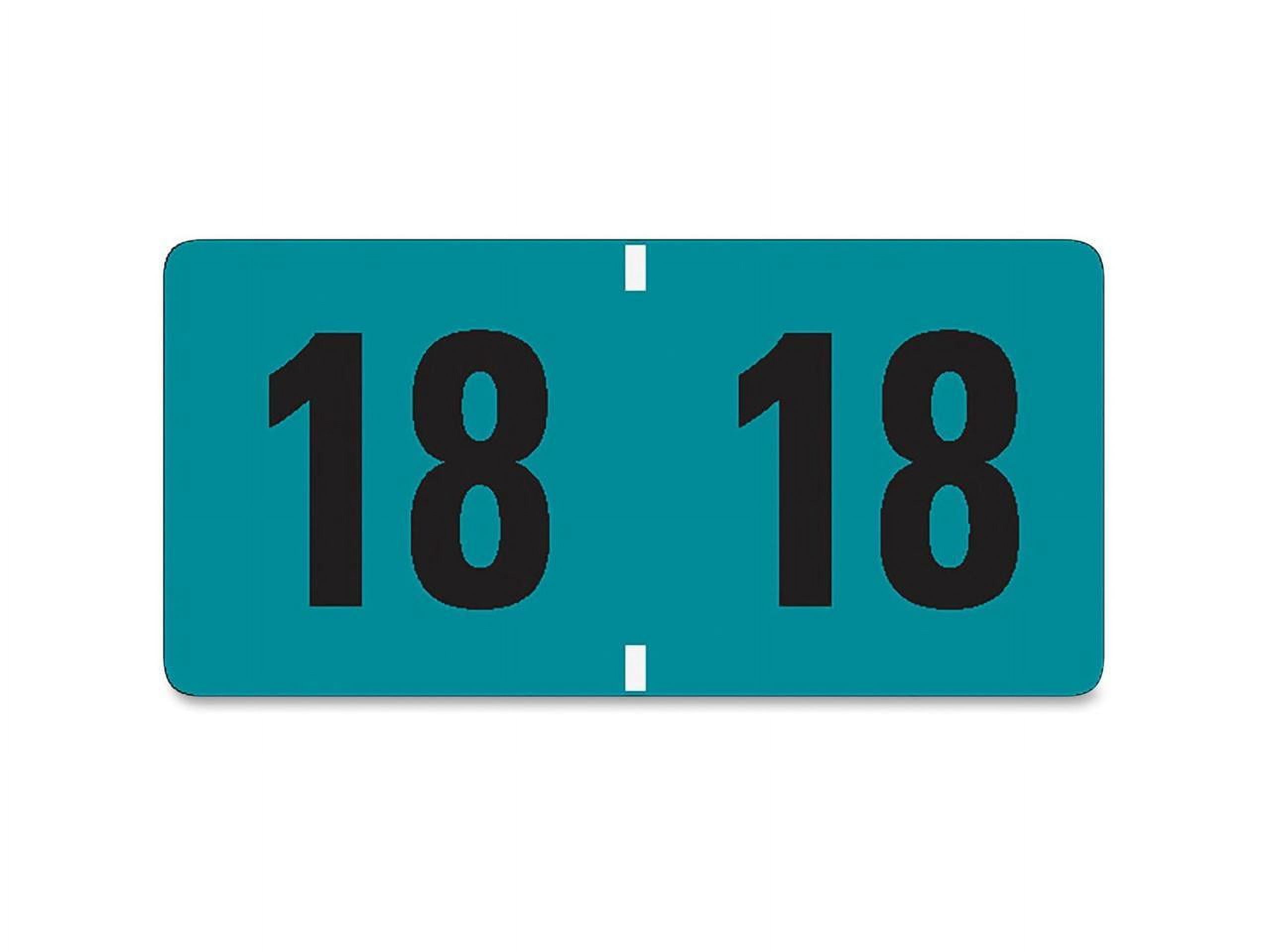 Light Blue Self-Adhesive Year 2018 File Labels, 500-Pack