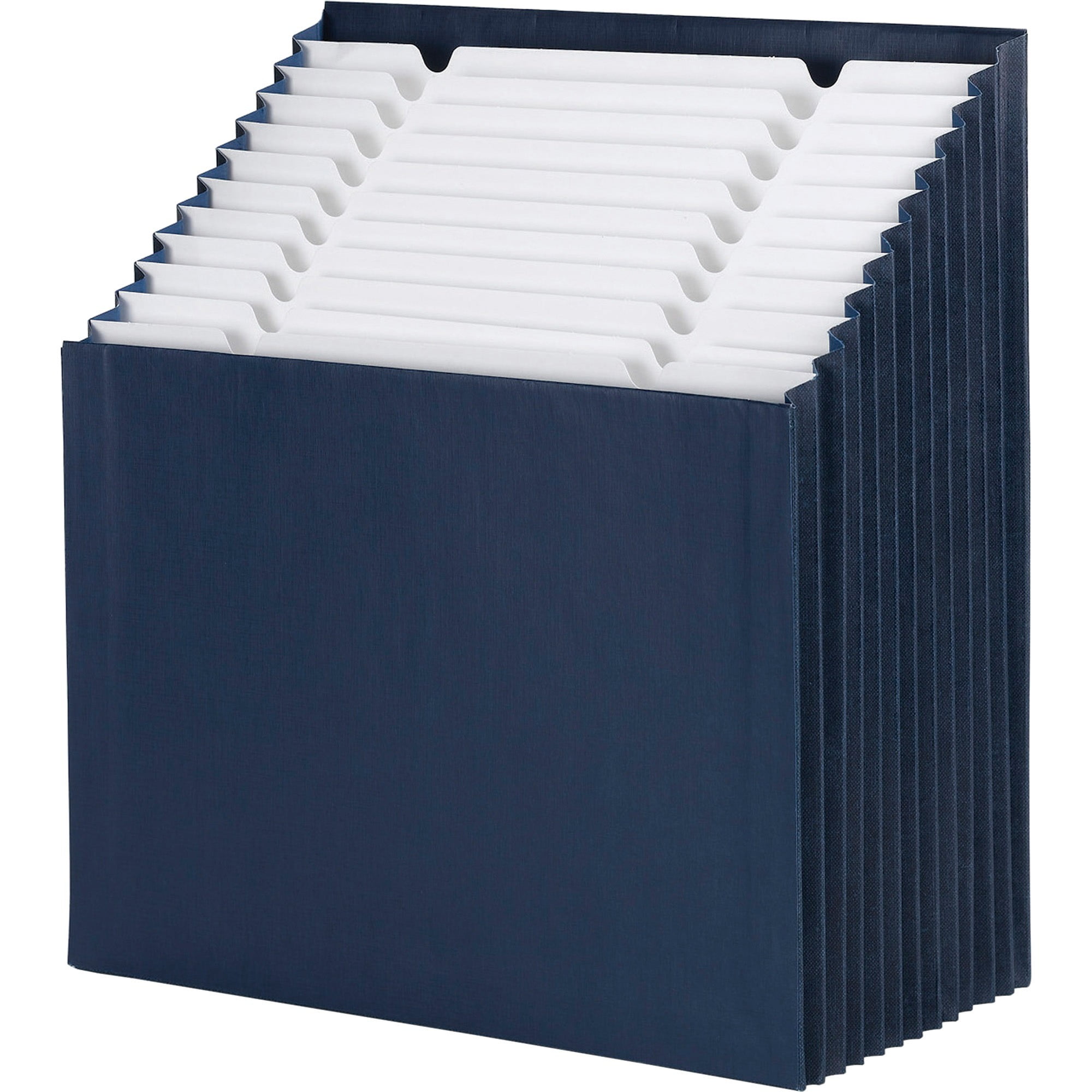 Navy Blue 12-Pocket Tiered Expanding File Organizer