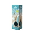 thumbnail image 1 of Smells Sea Salt Breeze Reed Diffuser, 50 ml, 1 of 5