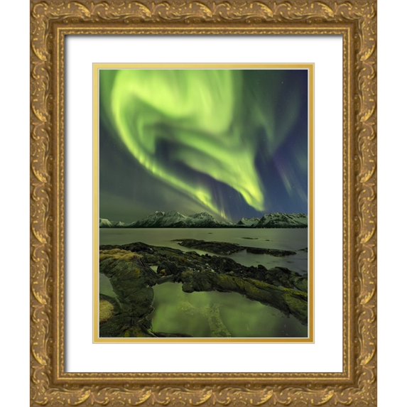 Smid Master, Jan 26x32 Gold Ornate Wood Framed with Double Matting Museum Art Print Titled - The Aliensaas Head