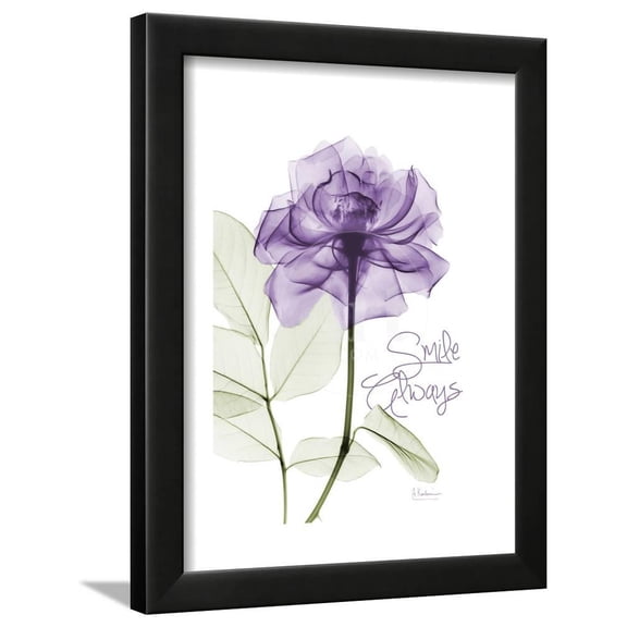 Smile Always Rose, Botanical Framed Art Print Wall Art by Albert Koetsier Sold by Art.Com