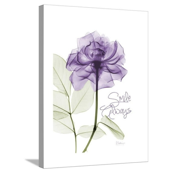 Smile Always Rose, Botanical Stretched Canvas Wall Art by Albert Koetsier Sold by ArtCom