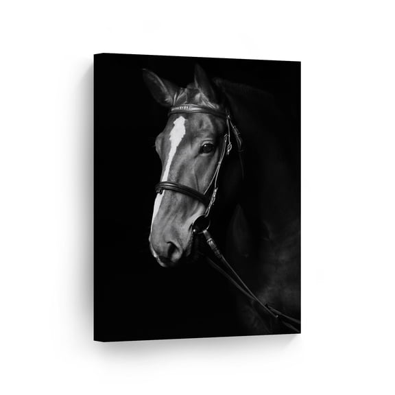 Smile Art Design Black and White Portrait of Beautiful Horse Animal Canvas Wall Art Print Farm Pet Lover Office Living Room Bedroom Veterinary Kids Baby Nursery Room Decor Ready to Hang - 12x8