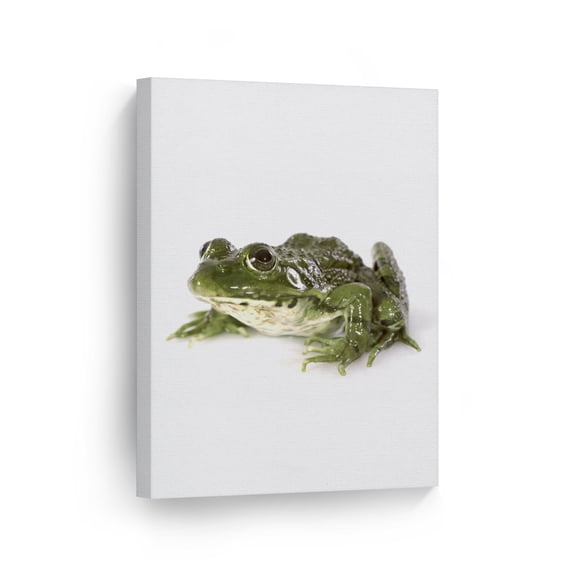 Smile Art Design Portrait of Green Northern Leopard Frog Animal Canvas Wall Art Print Nature Safari Exotic Wildlife Office Living Room Bedroom Kids Baby Nursery Room Decor - 40x30