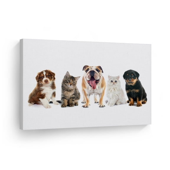 Smile Art Design Printed Animal Abstract "Framed" Canvas Art Print, 8" x 12"