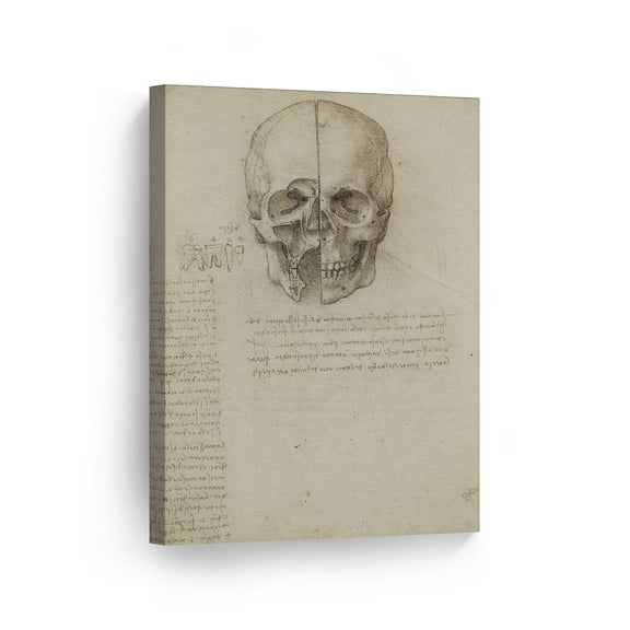 Smile Art Design Skull Anatomy by Leonardo Da Vinci Canvas Wall Art Canvas Print Famous Art Painting Reproduction Fine Art Home Decor - Made in USA- 40x30