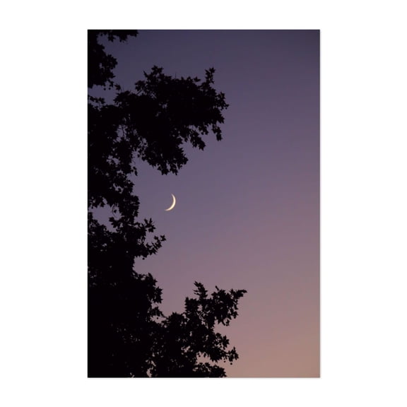 Smile Moon - Boise Idaho Photography Moon Silhouette Night Sky Nature Scenic Astronomy Mystical Unframed Wall Art Print 40 x 60 inches