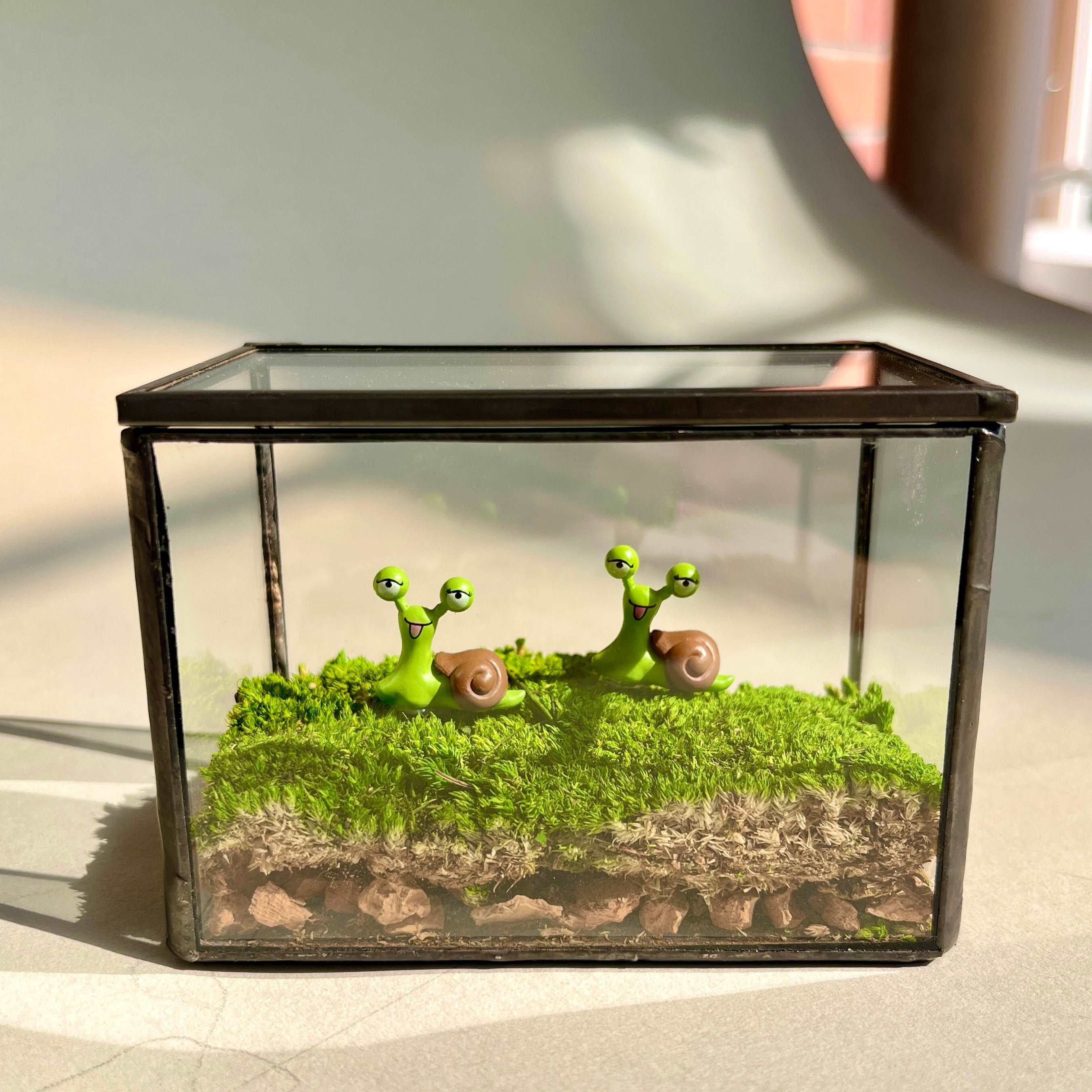 Smile Snail Desktop Decoration Micro Landscape Lawn Handmade Decor Preserved Moss Art