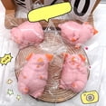 thumbnail image 1 of Smile Squishable Dumpling Cute Pig Face Glossy Pastel Pink Happy Calm Expression Desk Novelty Item Stress Relief Gift for Desk, 1 of 7