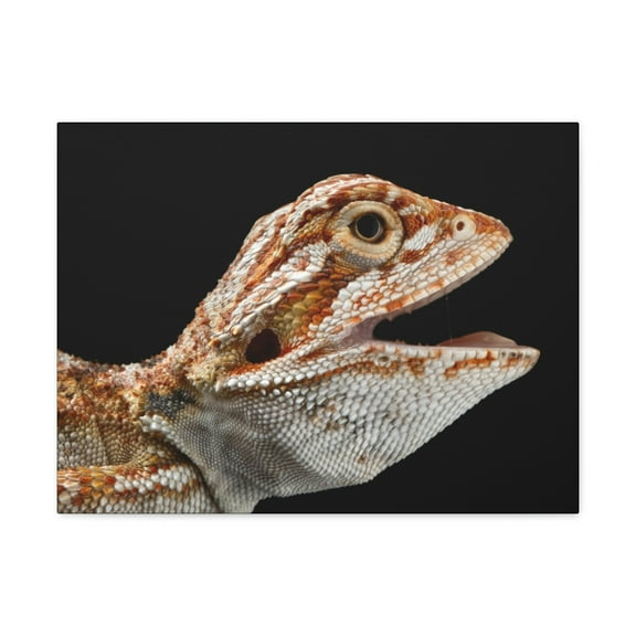 Smiling Bearded Dragon Baby Close Up Print Animal Wall Art Wildlife Canvas Prints Wall Art Ready to Hang Unframed