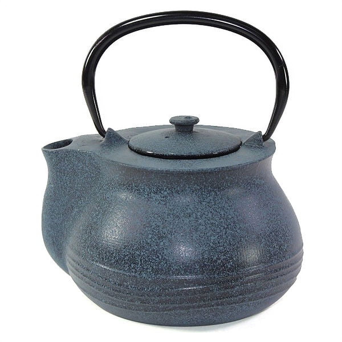 Smiling Juju 24 fl oz Blue Japanese Cast Iron Teapot Tetsubin with Infuser Filter Kitchen