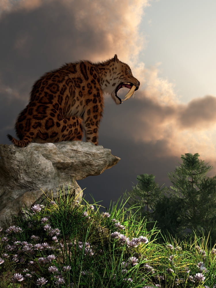 Smilodon Californicus sits atop a rock at the top of a hill Canvas Art - Daniel EskridgeStocktrek Images (25 x 33)
