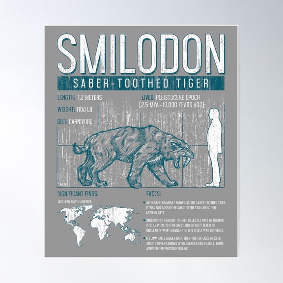 Smilodon - Saber-Toothed Tiger Dinosaur Science Facts Poster Wall Art, Modern Wall Decor For Living Room Bedroom, 8x12 UNFRAMED
