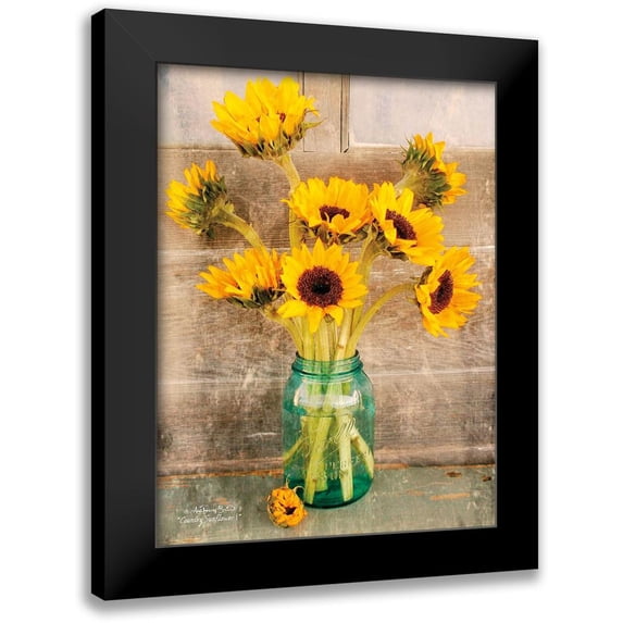 Smith, Anthony 12x14 Black Modern Framed Museum Art Print Titled - Country Sunflowers I