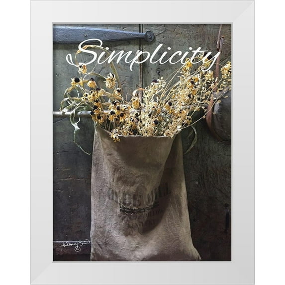Smith, Anthony 15x18 White Modern Wood Framed Museum Art Print Titled - Simplicity