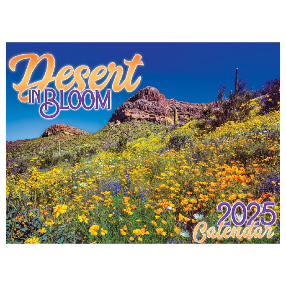 SmithSouthwestern, Desert in Bloom 2025 Wall Calendar Smith-Southwestern 2025 Calendars For Sale Today