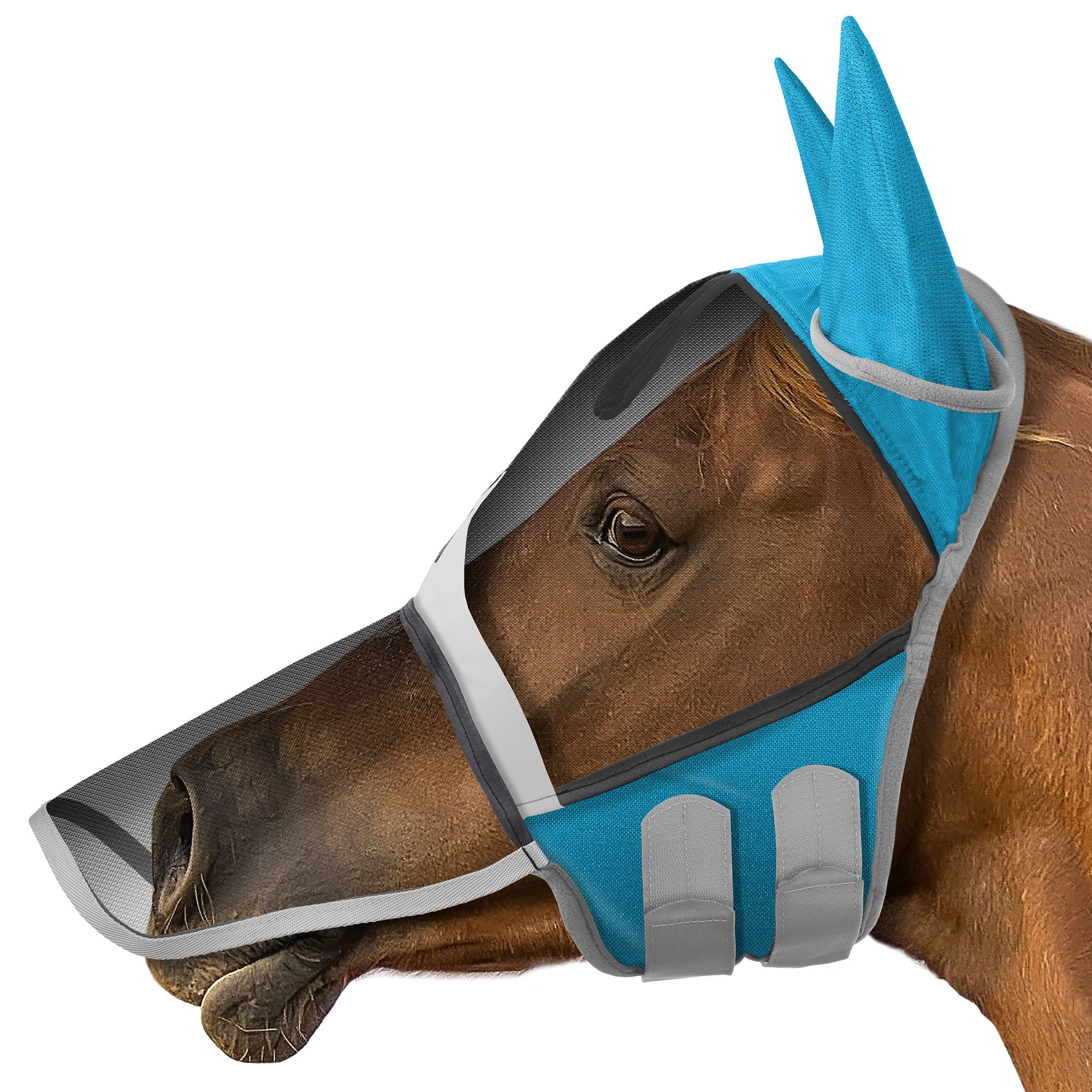 Fly Mask SmithBuilt Horse Equine Fly Mask (Teal, Horse) with Long Nose, Ear ...