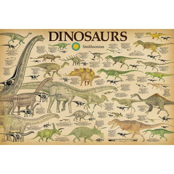 Smithsonian - Dinosaurs Poster 36.5" x 24.5" Laminated