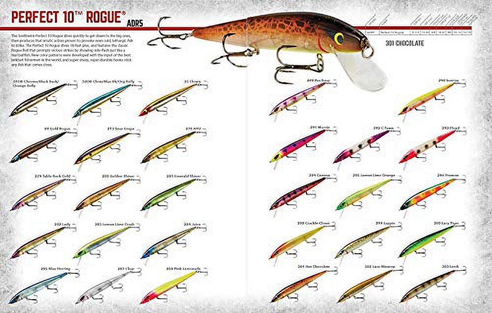Smithwick Perfect 10 Rogue Fishing Lure Hard bait Blue Back Herring 5 1/2 in 5/8 oz