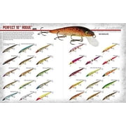Smithwick Perfect 10 Rogue Fishing Lure Hard bait Blue Back Herring 5 1/2 in 5/8 oz