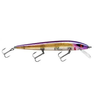 Smithwick Lures Devil's Horse Propeller Topwater Fishing Lure - Mimics  Fleeing Shad