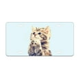 thumbnail image 1 of Smoaffly Cute Cat Hope License Plate Decorative Car Front License Plate Cover Vanity Tag Metal Car Plate Aluminum Novelty License Plate for Men/Women Car 6 X 12 Inch, 1 of 5