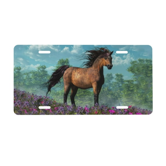 Smoaffly License Plate,Horse Decorative Car Front,Metal Car Plate,License Plate,Vanity Tag,Aluminum Noverlty License Plate for Men/Women/Boy/Girls Car 6×12 Inch