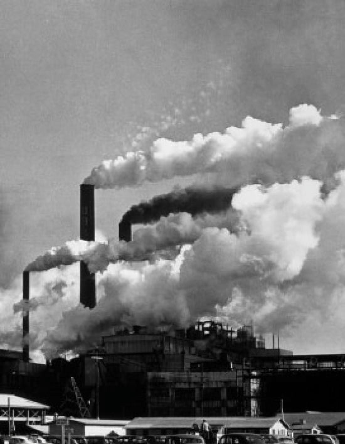 Smoke emitting from smoke stacks Union Bag and Paper Company Savannah Georgia USA Canvas Art - (24 x 36)