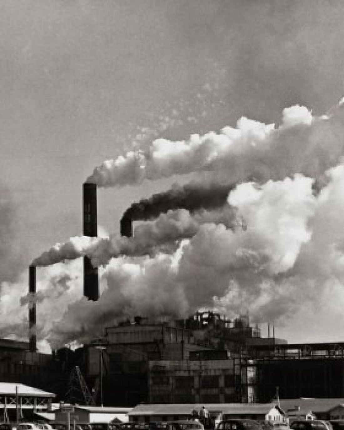Smoke emitting from the smoke stacks of a paper mill Union Camp Corporation Savannah Georgia USA Canvas Art - (18 x 24)