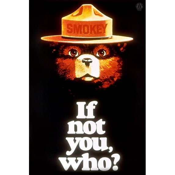 Smokey Bear, If Not You, Who, Vintage Poster (12x18 Wall Art Poster, Room Decor)