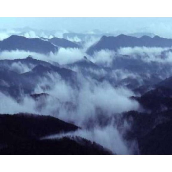 Smokey Mountains I Poster Print by Scott Larson (10 x 12)