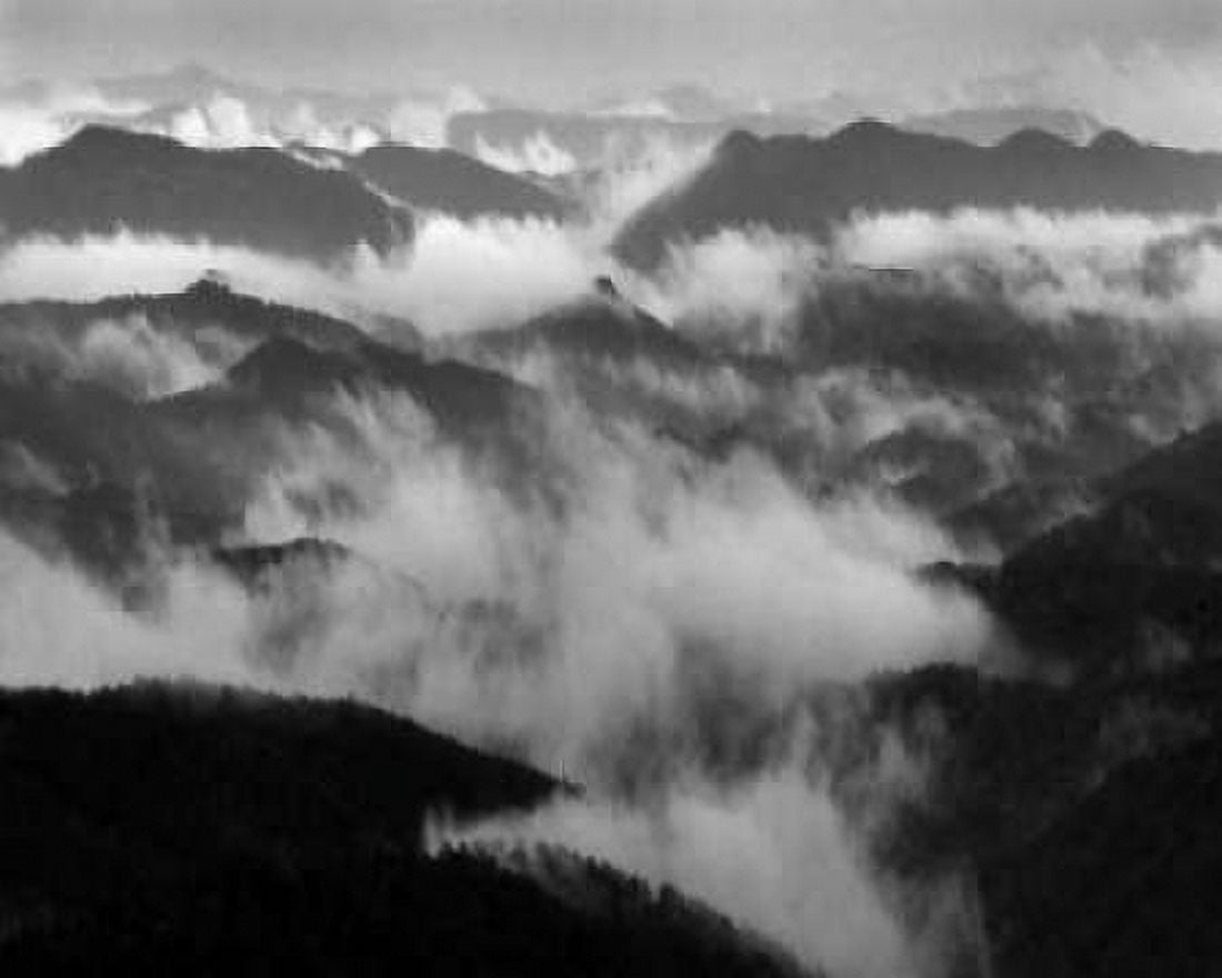 Smokey Mountains II Canvas Art - Scott Larson (20 x 24)