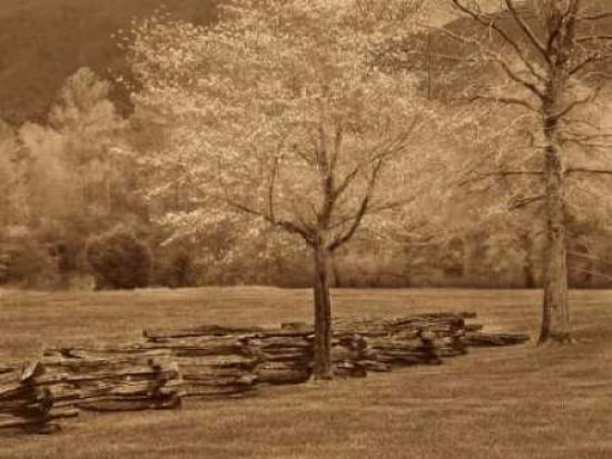 Smokies Fence Canvas Art - Wendy Caro (18 x 24)