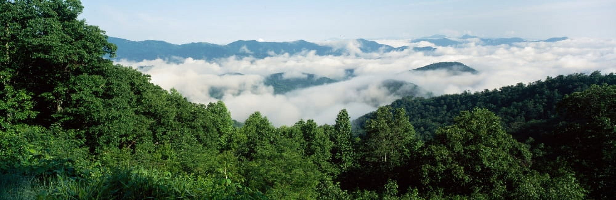 Smoky Mountain National Park TN USA Canvas Art - Panoramic Images (6 x 18)