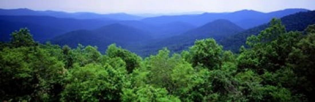 Smoky Mountain National Park Tennessee Canvas Art - Panoramic Images (37 x 12)
