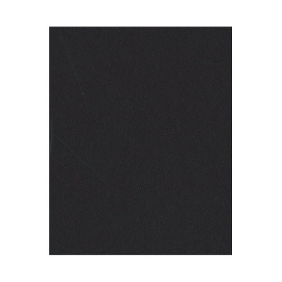 Smooth Black 16x20 Backing Board - Uncut Photo Mat Board