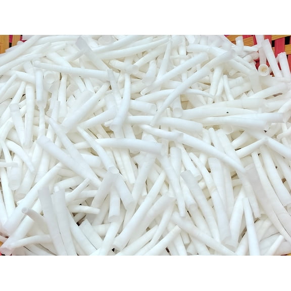 St. John's Exim Smooth Dentalium Shells 1.25-1.50 inches (2.2 LBS) 1 Kg, White