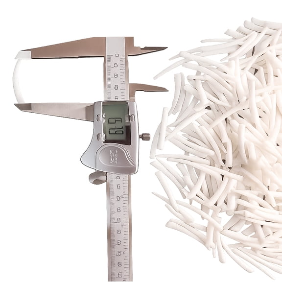 St. John's Exim Smooth Dentalium Shells 1.25-1.50 inches (2.2 LBS) 1 Kg, White