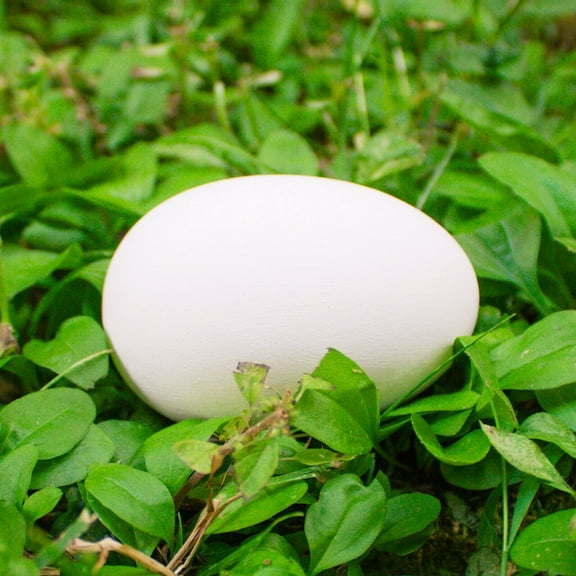 Smooth Easter Eggs 3x2 IN STOCK Ceramic Bisque Ready To Paint Pottery