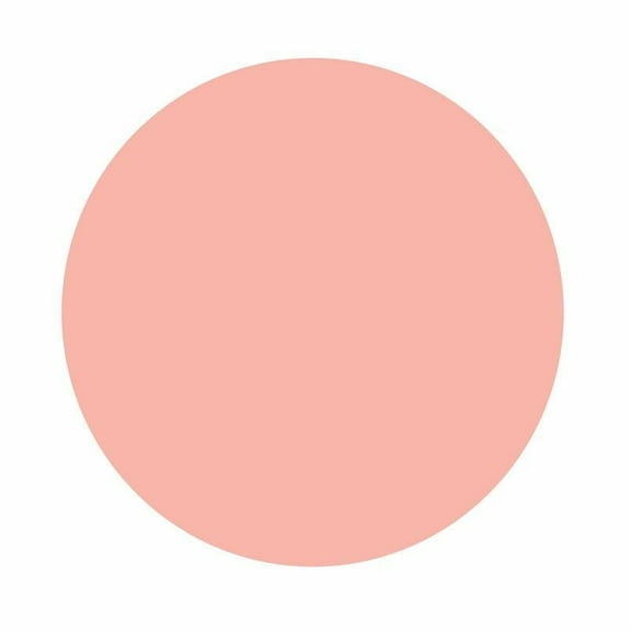 Silhouette Smooth Heat Transfer Vinyl - 12" x 36" Roll - Matte Finish - Light Pink